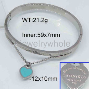 Tiffany  Bangle  PZ119361vhov-473