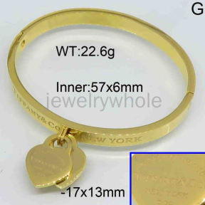 Tiffany  Bangle  PZ119362vhnv-473