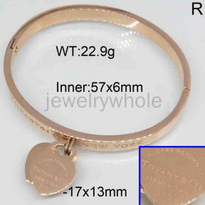 Tiffany  Bangle  PZ119363vhov-473