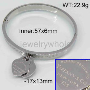 Tiffany  Bangle  PZ119364vhkb-473