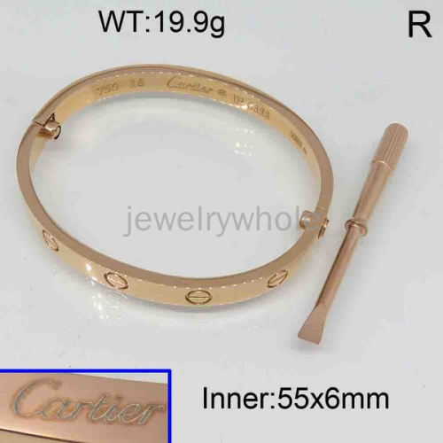 Cartier Bangle  PZ120955vhov-628