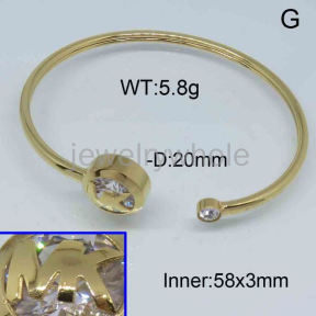 MK Bangle  PZ121586vihb-317