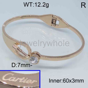 Cartier Bangle  PZ121597biib-317