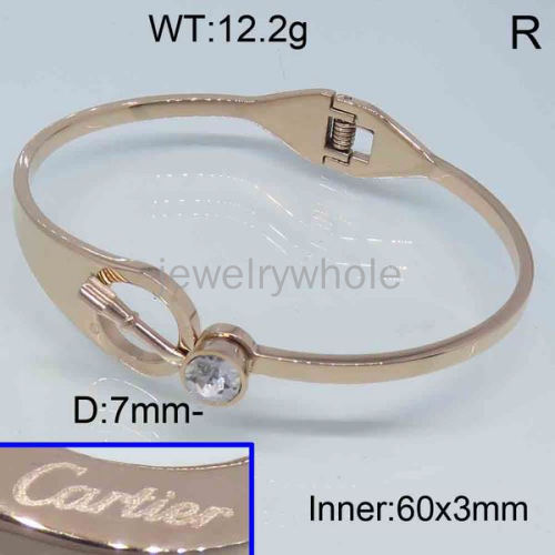 Cartier Bangle  PZ121597biib-317