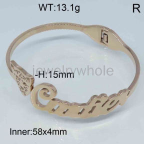 Cartier Bangle  PZ121598aivb-317