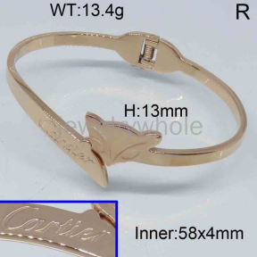 Cartier Bangle  PZ121698vhov-317