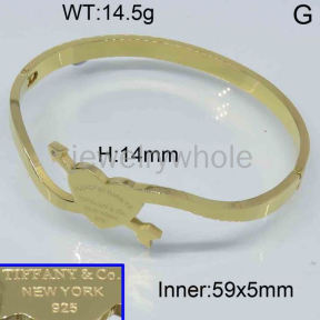 Tiffany  Bangle  PZ121701aivb-317