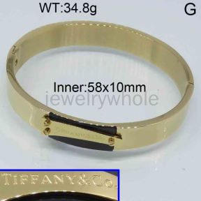 Tiffany  Bangle  PZ121702bika-317