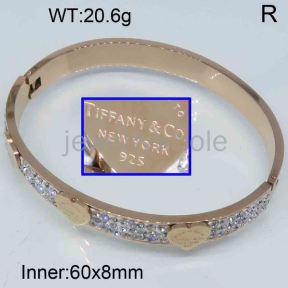 Tiffany  Bangle  PZ122085aija-434