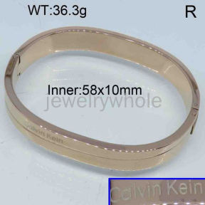 CK Bangle  PZ123292aima-317