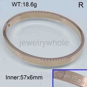 CK Bangle  PZ123296vhnv-317