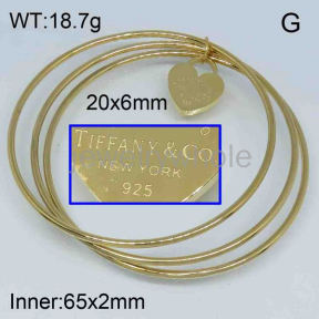 Tiffany  Bangle  PZ124952bhva-603