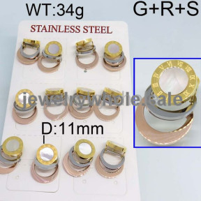 SS Earrings  TE300003vmma-499