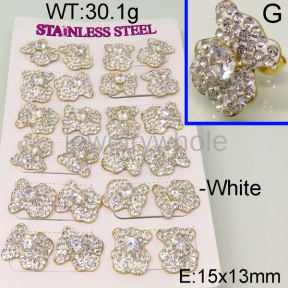 SS Earrings  TE300182akia-470