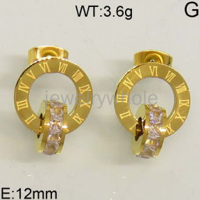 SS Earrings  TE400383vhmv-466