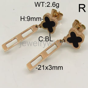 SS Earrings  TE600104bhva-493