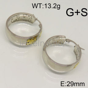 SS Earrings  TE600181vhha-317