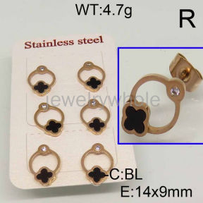 SS Earrings  TE600195bika-434