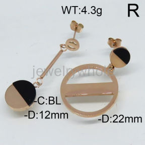 SS Earrings  TE600304bhia-493