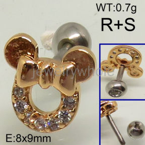 SS Earrings  TE600364aakl-208