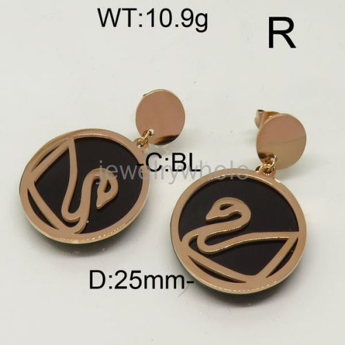 SS Earrings  TE600390bhva-371