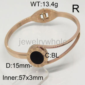 SS Bangles  TZ00215vhov-367