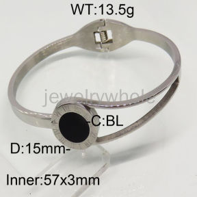 SS Bangles  TZ00216ahlv-367