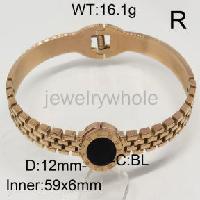 SS Bangles  TZ00218vhov-367