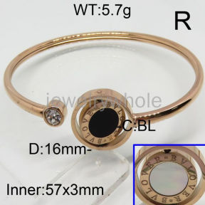 SS Bangles  TZ00224vhov-367