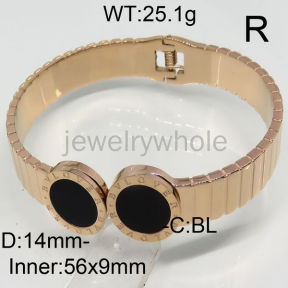 SS Bangles  TZ00227vhov-367