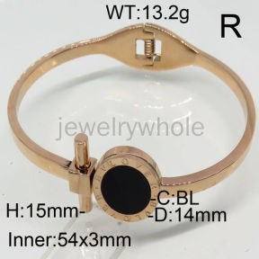 SS Bangles  TZ00230vhov-367