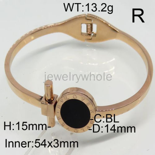 SS Bangles  TZ00230vhov-367