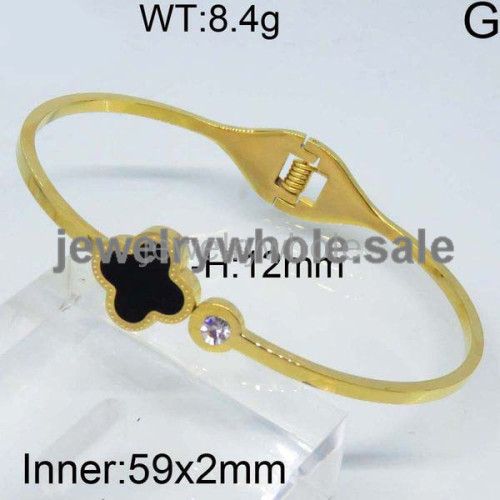 SS Bangle  TZ300007vhoa-499