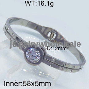 SS Bangle  TZ300011viaa-499