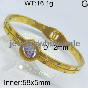 SS Bangle  TZ300012viia-499