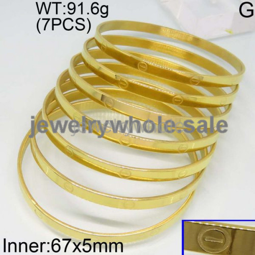 SS Bangle  TZ300034ahlv-423