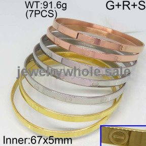 SS Bangle  TZ300036ahjb-423