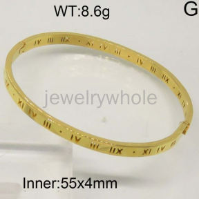 SS Bangles  TZ300141bhjl-497