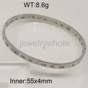 SS Bangles  TZ300142vhhl-497