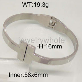 SS Bangles  TZ300147bhia-497