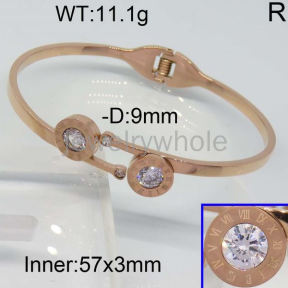 SS Bangles  TZ300186vhov-328