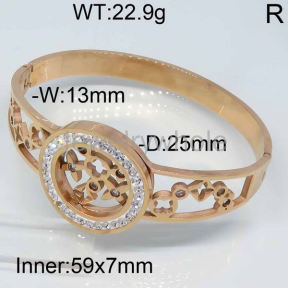 SS Bangle  TZ300201aivb-434