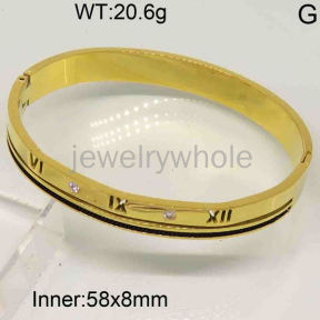 SS Bangles  TZ300269ahlv-603