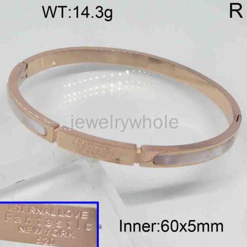 SS Bangles  TZ300287aija-473