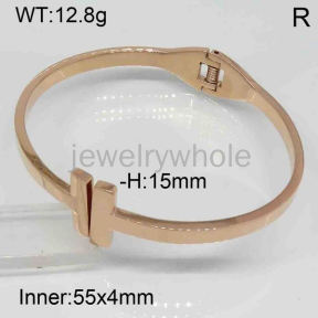 SS Bangles  TZ300322bhia-628