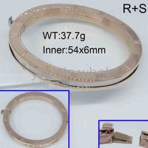 SS Bangles  TZ300363akja-323