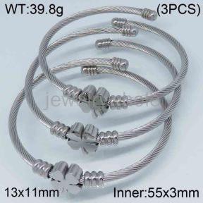 SS Bangles  TZ300401vhmv-613