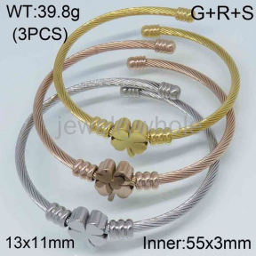 SS Bangles  TZ300402vivl-613