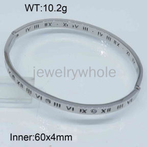 SS Bangles  TZ300404ahjb-434