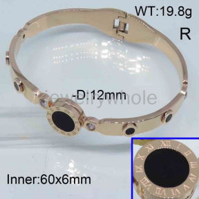 SS Bangles  TZ300409ahpv-434